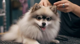 3 Easy Things to Teach your NEW PUPPY!
