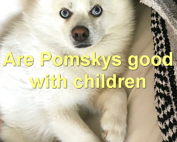 Are Pomskys good with children
