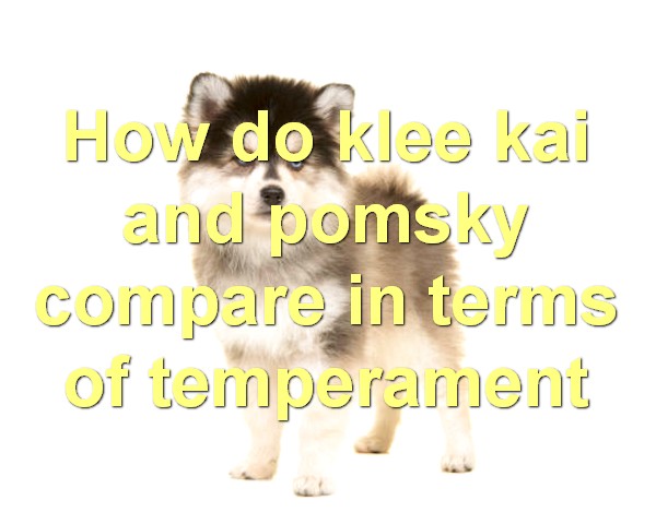 How do klee kai and pomsky compare in terms of temperament