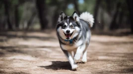 How to KEEP Your Dog Interested in Training!