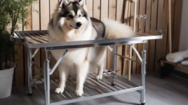 SMART POMSKY