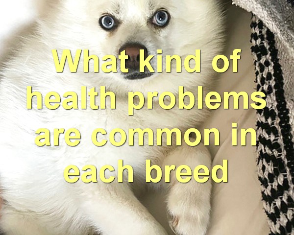 What kind of health problems are common in each breed