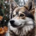Pomsky Adult: Understanding Size, Appearance, And Personality Traits