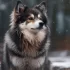 Shipping Your Pomsky: Tips and Tricks for a Smooth Delivery