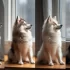AKC Pomsky Puppies: The Ultimate Guide to Understanding the Personality Traits and Temperament of this Adorable Designer Breed
