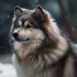 ADTOB Pomsky: A Comprehensive Guide to Pomsky Breed