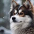 Do Pomskies Grow Quickly? Understanding Pomsky Size And Appearance