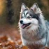 Teacup Pomsky For Sale Near Me