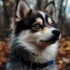 Pomsky Training: Tips and Tricks for a Well-Behaved Pomsky