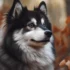 FAQs about Pomsky Puppies for Sale Ohio