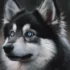 FAQs about Do Pomsky Shed