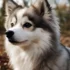 What Does F3 Pomsky Mean? Understanding Pomsky Mixes