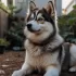 Do Pomskies Grow? Understanding the Size and Appearance of this Popular Designer Breed