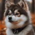 The Puppy Training Shortcut: Clicker Training Explained