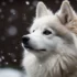 How Much Does A Teacup Pomsky Cost?