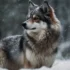 Pomsky Mix: Understanding The Popular Designer Breed