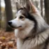 Pomsky Rescue: Tips For Adopting Your New Furry Friend