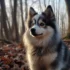 F1b Pomskies: All You Need to Know about this Generation