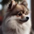 FAQs about Fluffy Pomsky