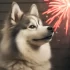 How Much Does a Pomsky Cost in the UK?