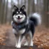 Pomsky Energy Level: Tips For Keeping Your Pomsky Active And Healthy