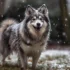 Patriot Pomskies: The Ultimate Guide To Understanding Pomsky Mixes