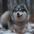 Full Size Teacup Pomsky: Understanding Their Size and Appearance