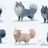 30 Pound Pomsky: Understanding the Size and Appearance of this Adorable Breed