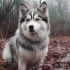 Healthy Pomsky Puppies: Tips for Raising Happy and Energetic Pomskies