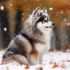 Hatz Off Pomskies: Your Guide to Raising a Healthy and Happy Pomsky