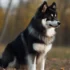 amazing obedience transformation