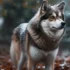 How Big Can a Pomsky Puppy Get? Understanding the Size and Appearance of Pomskies