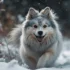 How are Pomskies created? Understanding the breeding process