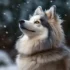 How Much Do Pomskies Go for?