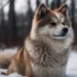 How Much Should a Pomsky Weigh?