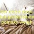 FAQs about Whats a Pomsky