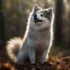 How to Successfully Breed Pomskies: Tips and Techniques