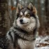 Black Pomsky Puppies: The Ultimate Guide to Raising Your New Furry Friend