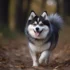 5 Dog Training Tips in 3 Minutes that will Change Everything!