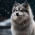 Is a Pomsky Real? Discover the Truth About This Adorable Designer Breed