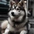 Discover the Unique Characteristics of Katana Pomskies