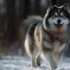 Majestic Pomsky Puppies: The Ultimate Guide to Raising Happy and Healthy Pomskies