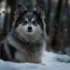 Mini Husky vs Pomsky: Which Breed is Right for You?