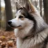 Pomklee vs Pomsky: Understanding the Differences and Similarities