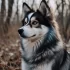 Pomsky Cane: Understanding the Mix Breed and Its Personality Traits