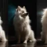 Ponderosa Pomskies: Everything You Need To Know About This Adorable Pomsky Breeder