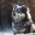 What Is A Pomsky Mixed With? Your Comprehensive Guide To Pomsky Crossbreeds