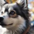 Pomsky vs American Eskimo: Which One Is Right For You?