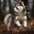 Albino Pomskies: What You Need To Know