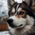 Pomsky Labradoodle Mix: Understanding the Unique Traits and Temperament